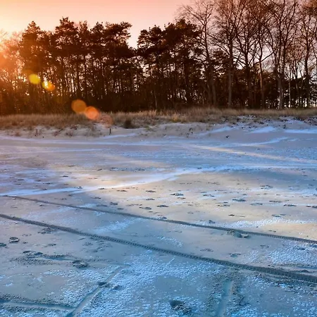 Lägenhet Ferienhaus Schmiedgen Zempin